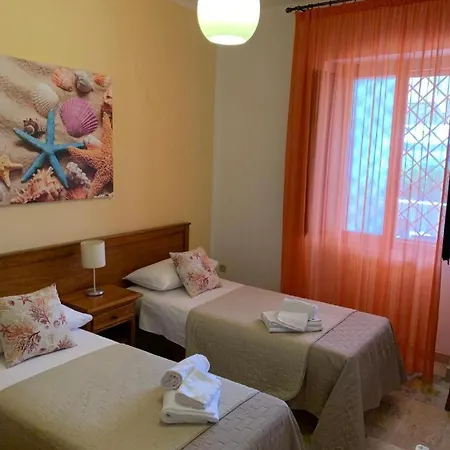 B&B Coral